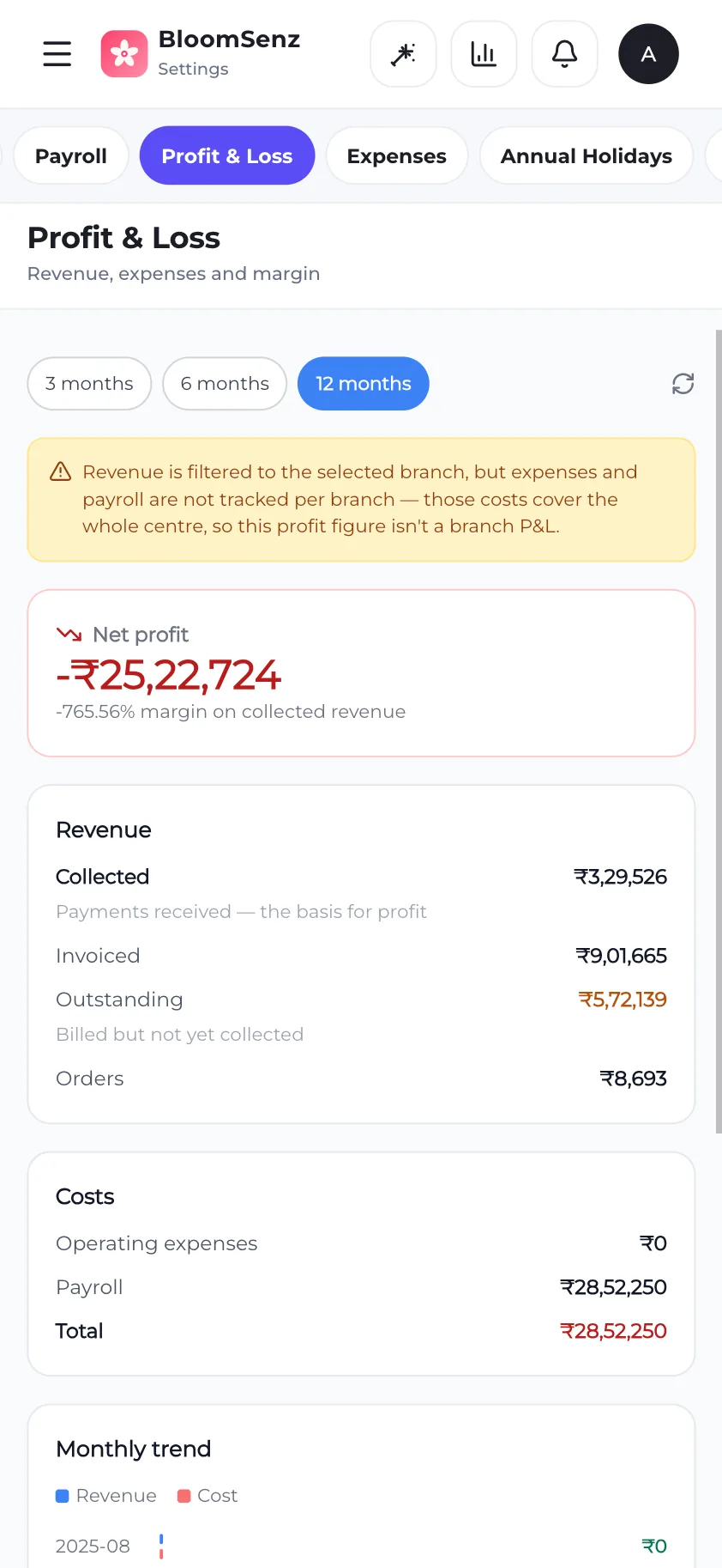 Revenue and invoicing overview on mobile